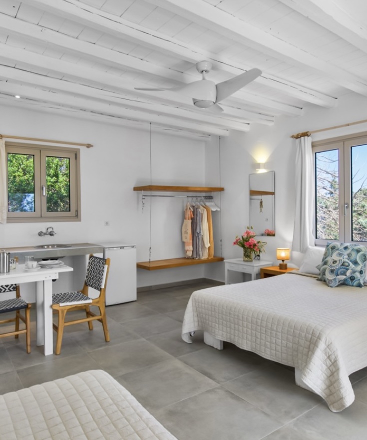 Open studio with kitchenette, wardrobe and double bed