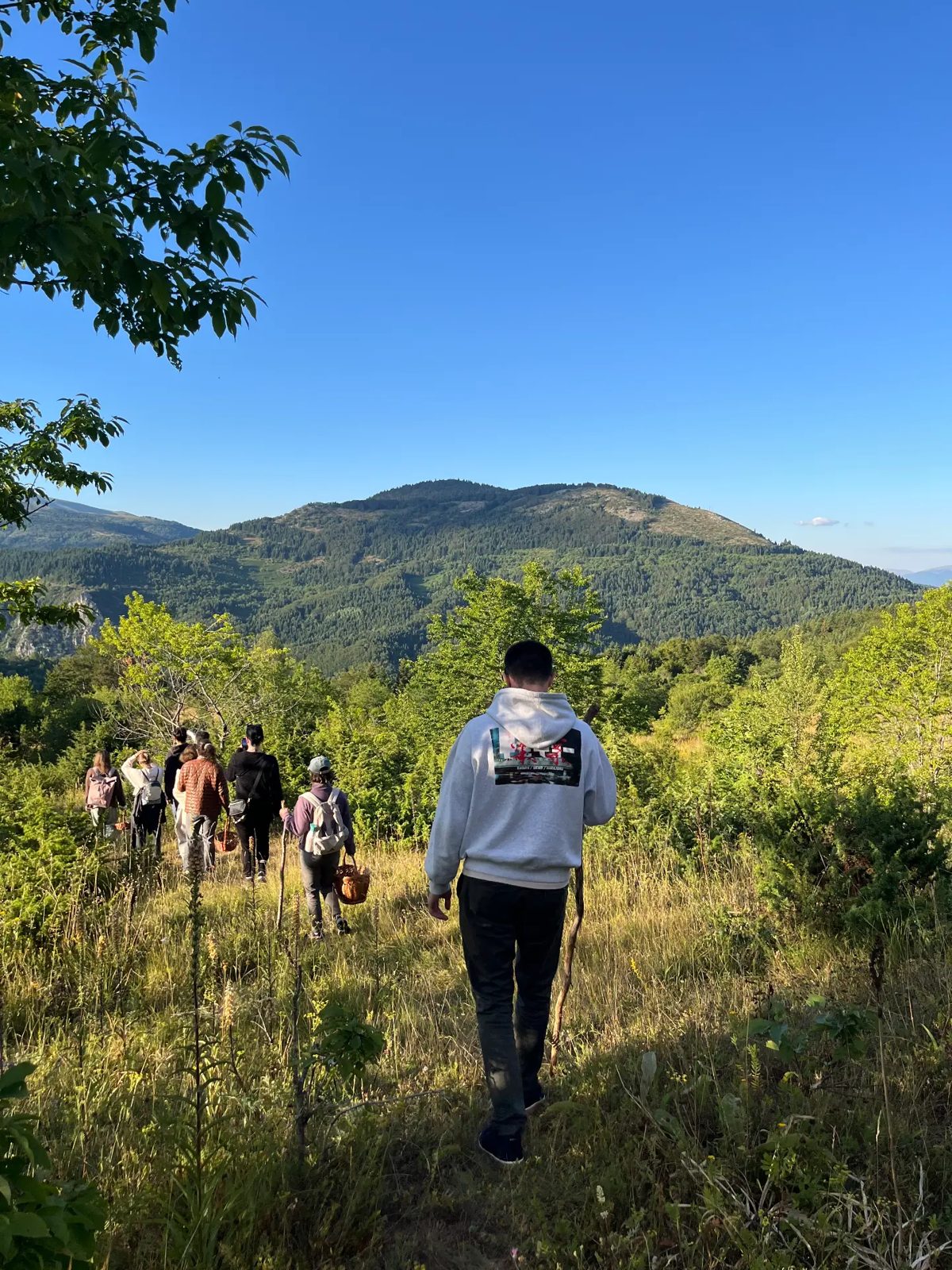 Foraging walk over the hills at golden hour