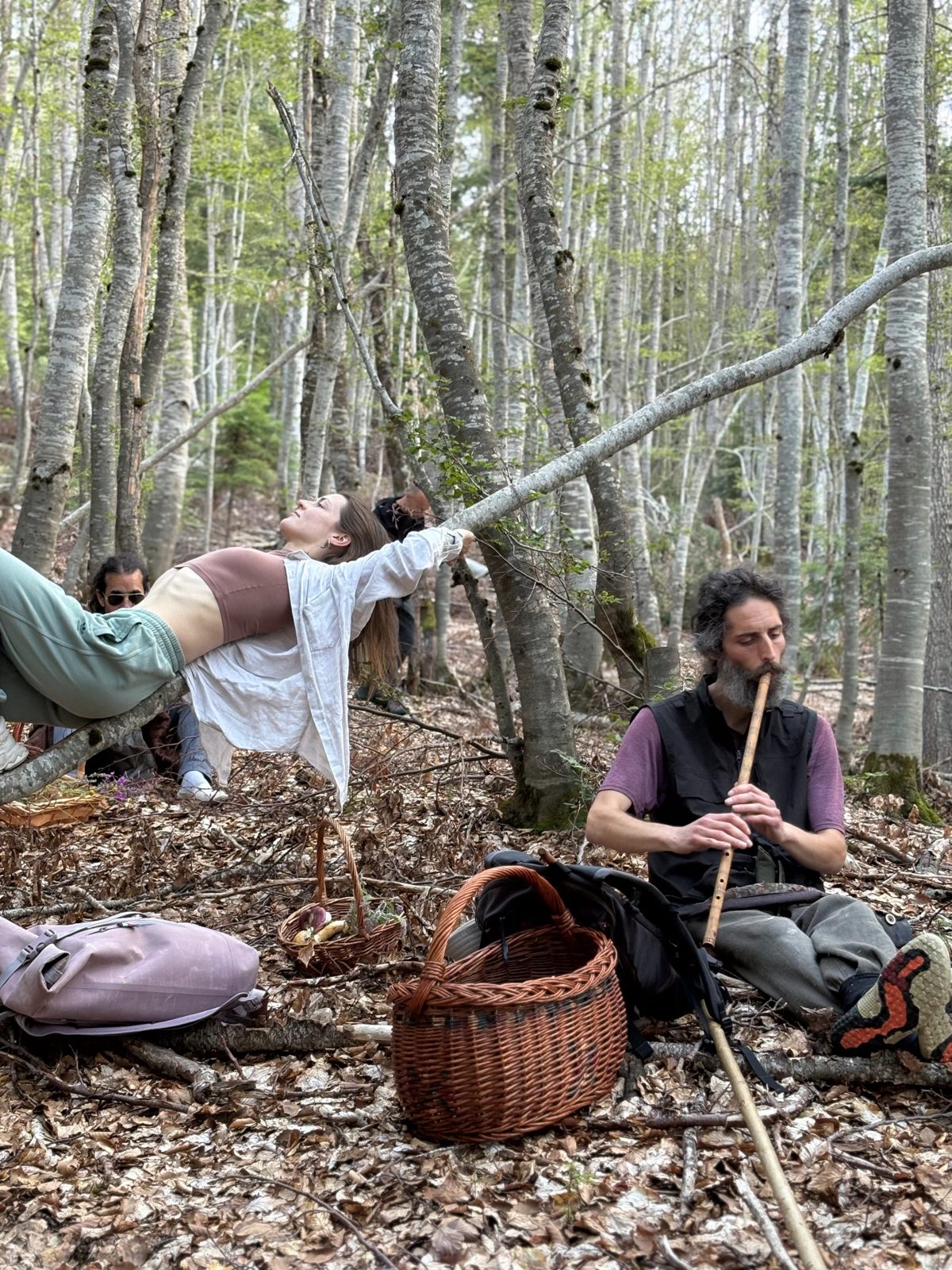 Resting in the beech forest while a flute plays