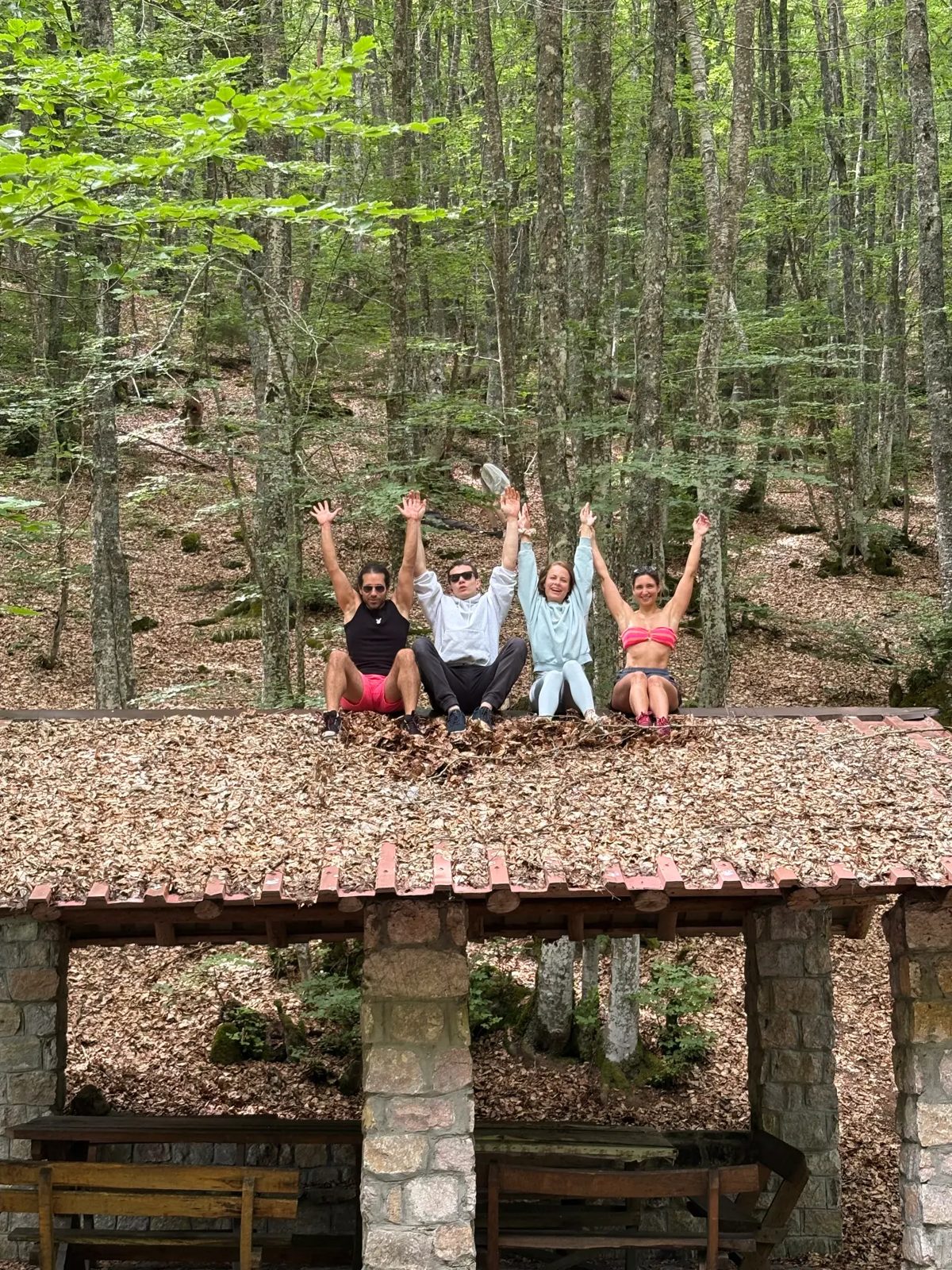 Group sitting on a forest shelter roof, arms up